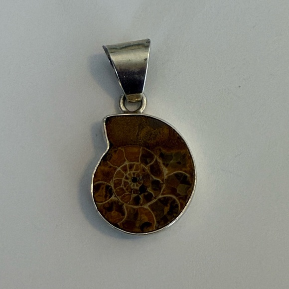 Charles Albert Jewelry - Charles Albert Brown Ammonite Fossil Pendant with Sterling Silver Frame